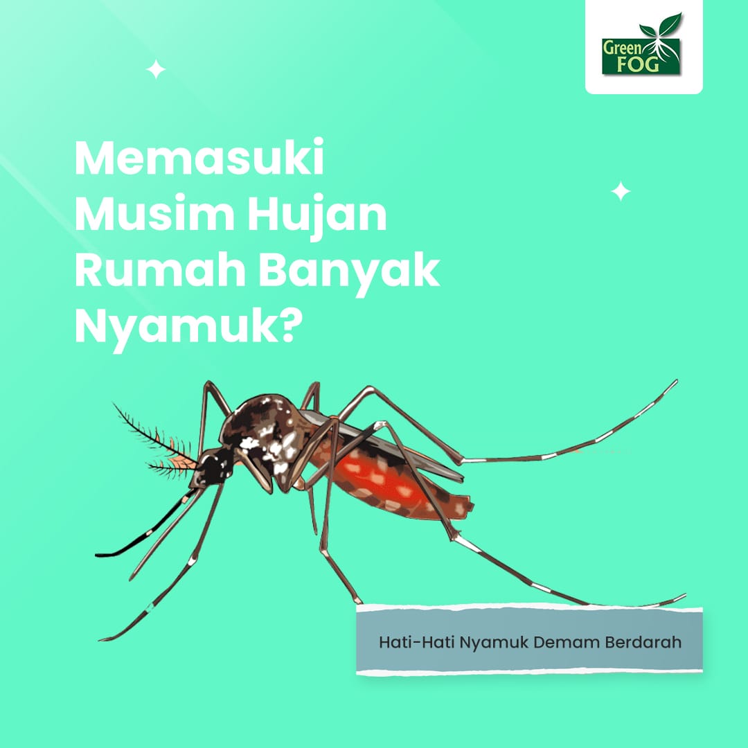 fogging nyamuk demam berdarah