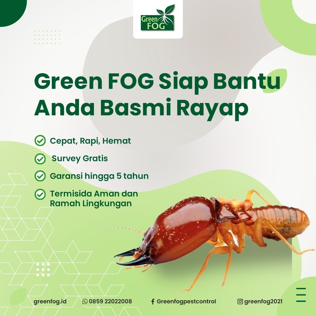 Anti Rayap Bergaransi